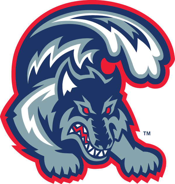 Stony Brook Seawolves 1998-2007 Alternate Logo diy iron on heat transfer